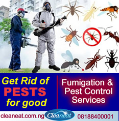 bed bug fumigation in lagos